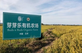 芽芽乐深耕营养主食系列：喂养升级